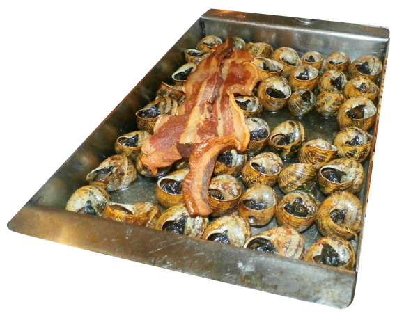 cargols-a-la-llauna